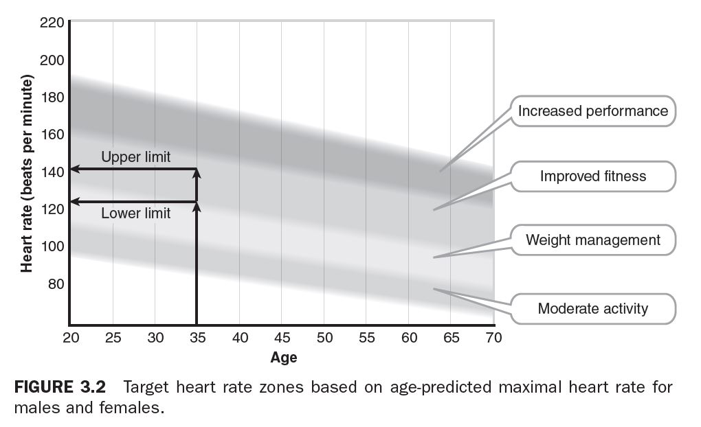 Figure 3.2 - Target heart rate zones based on age-predicated maximal heart rate for males and females.