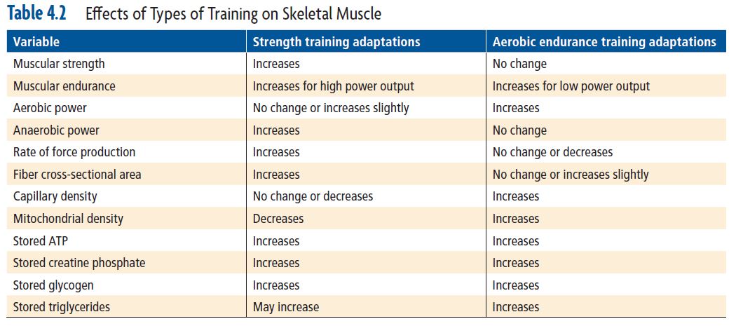 Effects of Types of Training on Skeletal Muscle