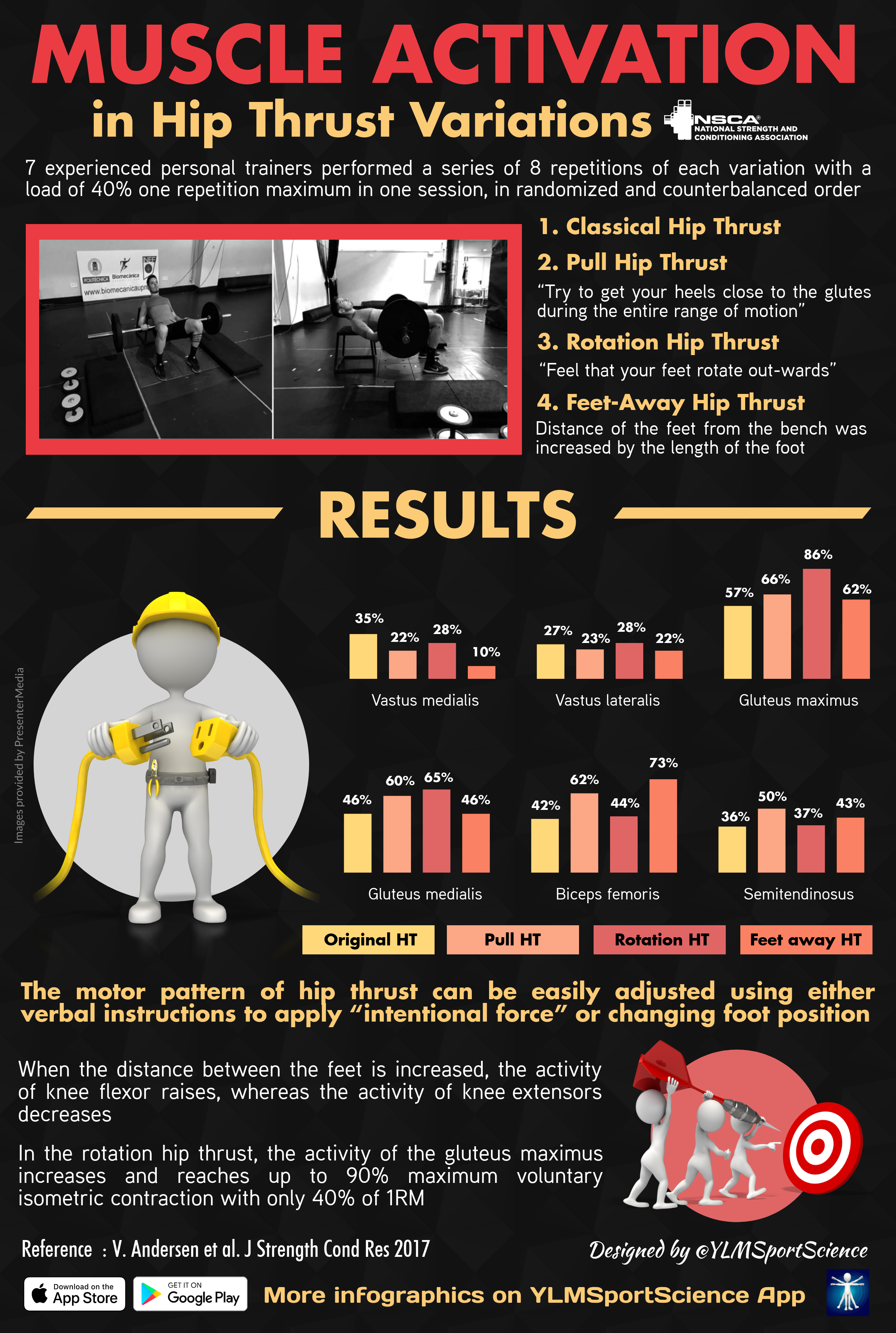 This infographic looks at the percentages of optimal muscle activation in variations of the hip thrust.