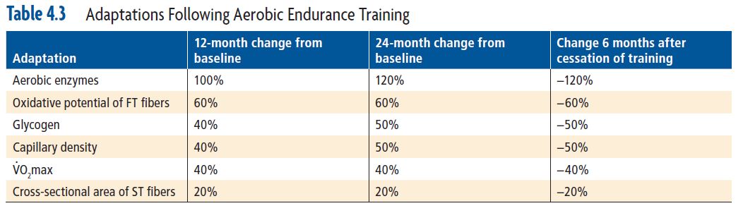 Adaptations Following Aerobic Endurance Training