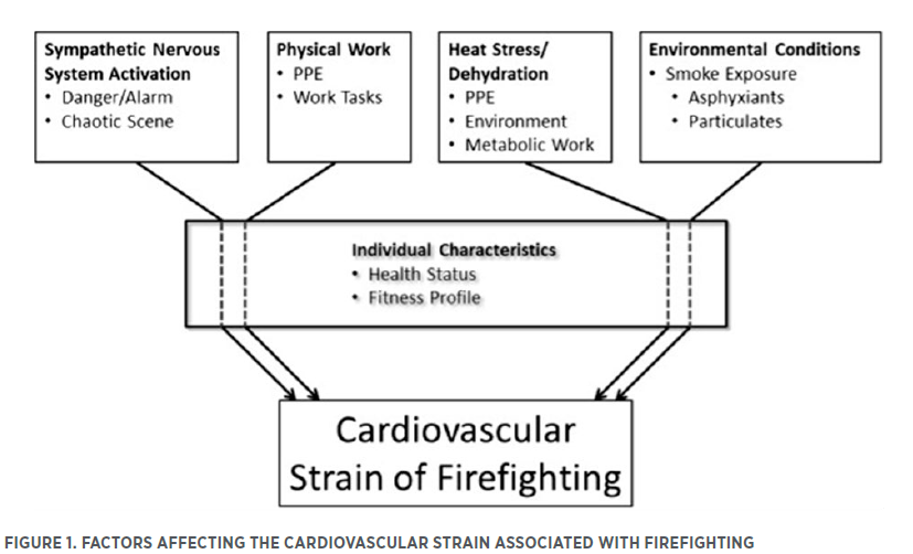 TSAC 81.6_Cardiovascular Risk Factors in Structural Firefighters Figure 1.png